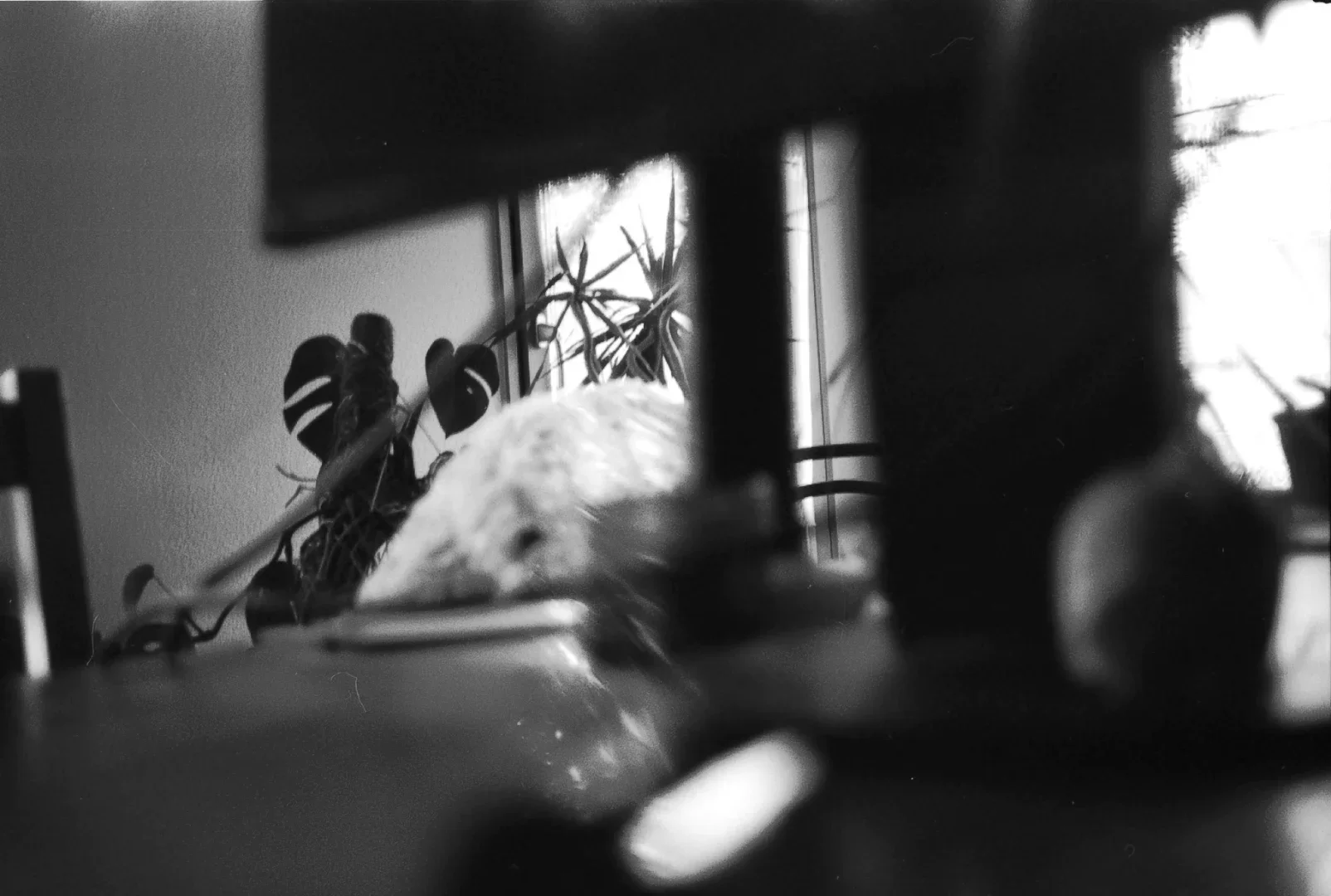 Eine Schwarzweiss Foto analog Oliver Marugg