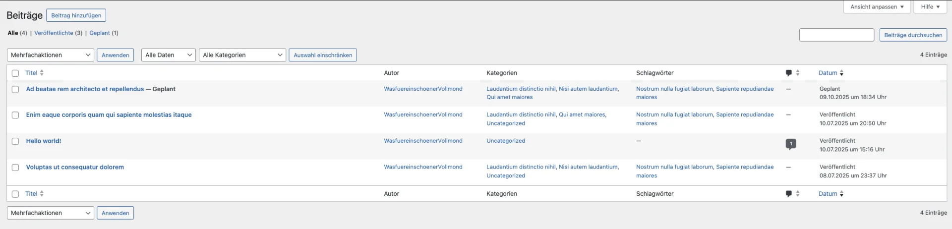 WordPress Ansicht Beitragsansicht, eigener Screenshot